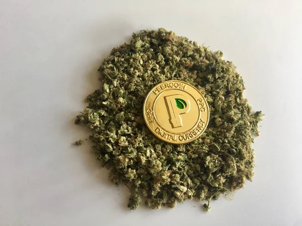 Altın peercoin sikke