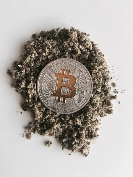 Silber-Bitcoin-Münze und Unkraut — Stockfoto