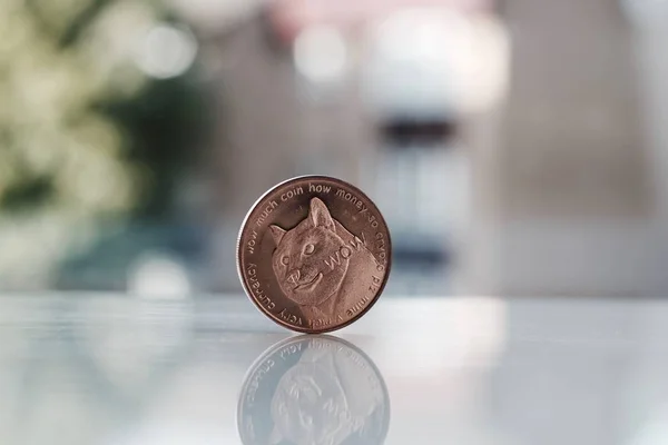 Brass dogecoin coin — Stock Photo, Image
