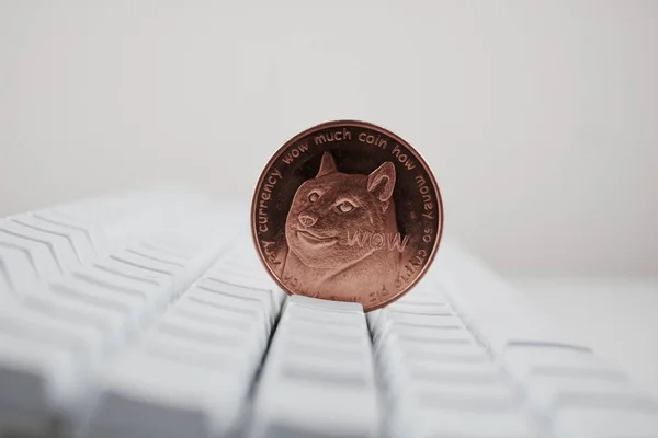Moneda de latón dogecoin — Foto de Stock