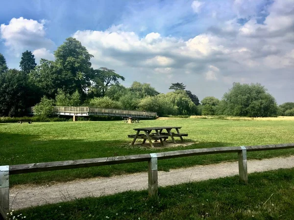 Grüner öffentlicher Park — Stockfoto