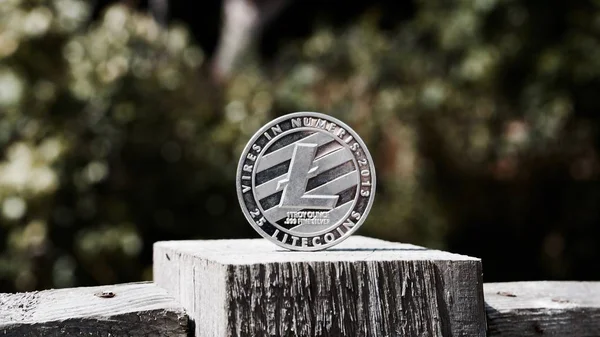 Gümüş Litecoin sikke — Stok fotoğraf