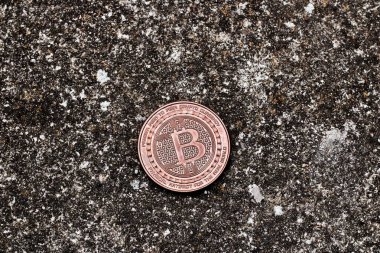 Pirinç bitcoin sikke