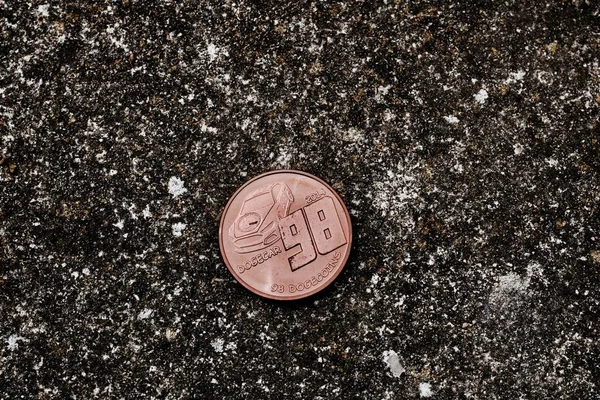 Brass dogecoin coin — Stock Photo, Image