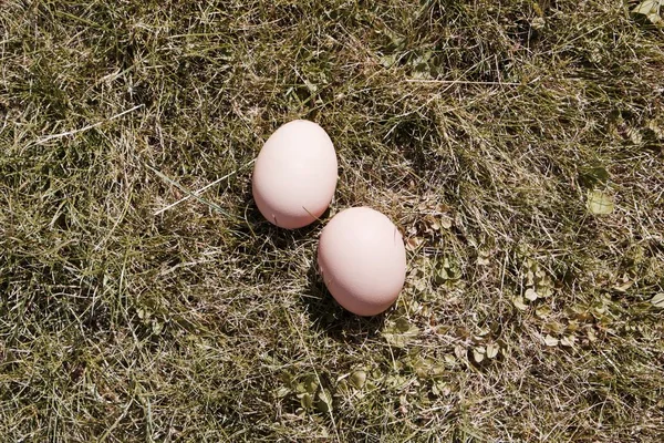 Fresh chicken eggs — Stock Photo, Image