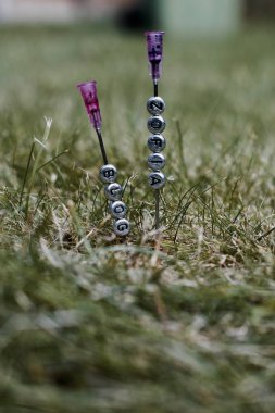 Zofia blog inscription