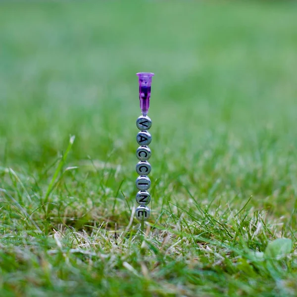 Vaccinet på nålen — Stockfoto