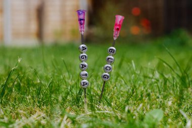 Agata günlük yazımı