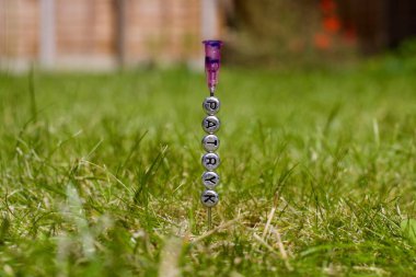 Patryk iğne üzerinde