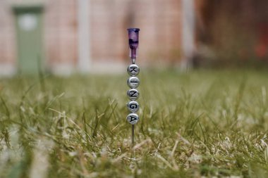 Kinga iğne üzerinde