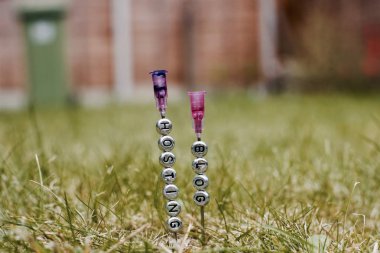 Barındırma blog iğneler