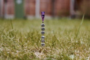 Monica iğne üzerinde