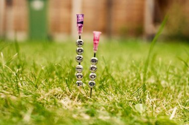 Monica Blog iğneler