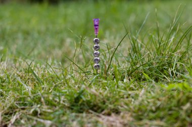 Dalgalar dijital para