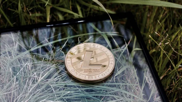 Κρυπτονόμισμα Litecoin κέρμα — Φωτογραφία Αρχείου