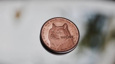 Pirinç dogecoin sikke