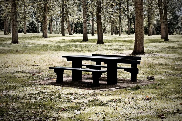 Černé lavička v lese — Stock fotografie