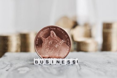 Dogecoin iş pirinç madeni para