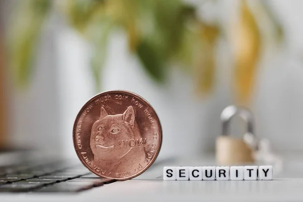 Moneda de seguridad Dogecoin —  Fotos de Stock