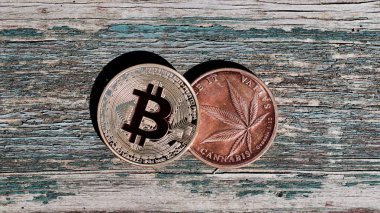 Altın kırmızı bitcoin sikke