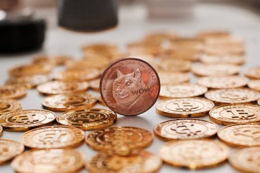 Pirinç dogecoin sikke