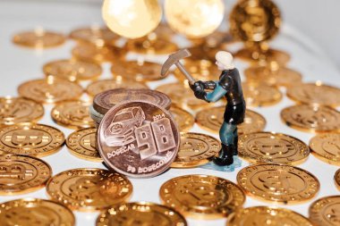 Pirinç dogecoin incelemesi
