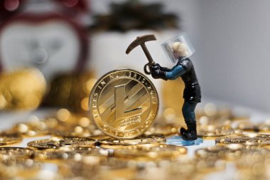 Litecoin para kavramı