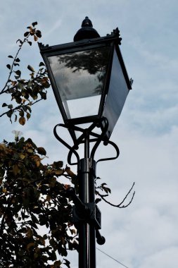 Kasabada siyah lamba