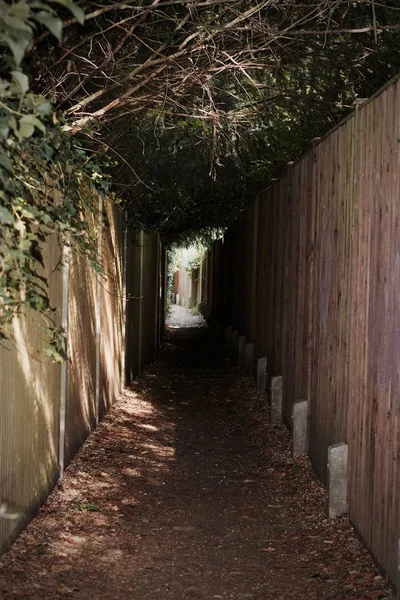 리치몬드에 꽃 터널 — 스톡 사진