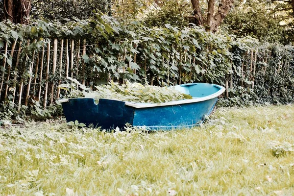 Blauwe boot in de tuin — Stockfoto