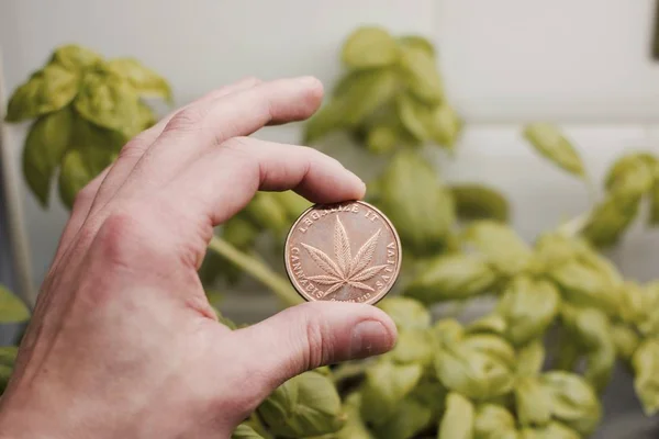 Marihuana-Münze aus Messing — Stockfoto