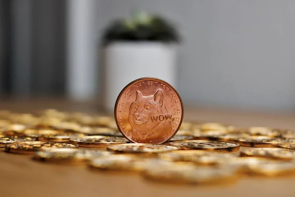 Brass dogecoin coin — Stock Photo, Image