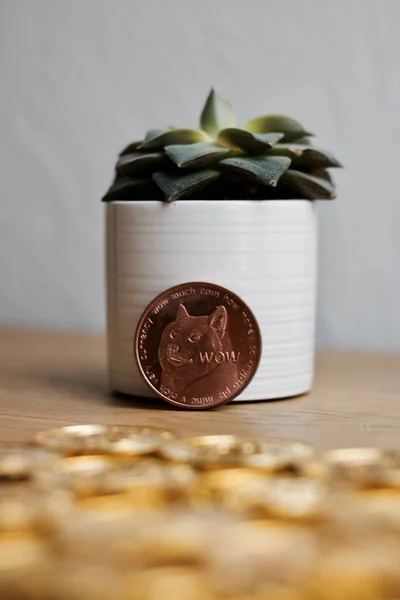 Dogecoin aus Messing — Stockfoto