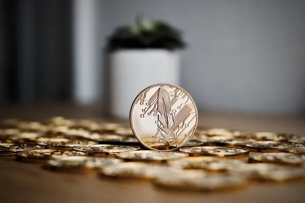 Moneda de pluma de oro — Foto de Stock