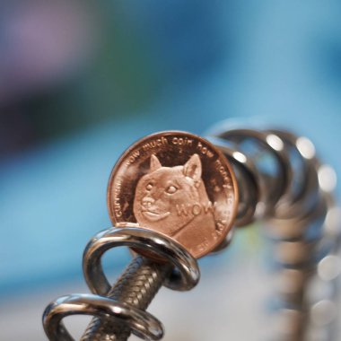 Pirinç dogecoin sikke
