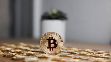 Bitcoin para cryptocurrency