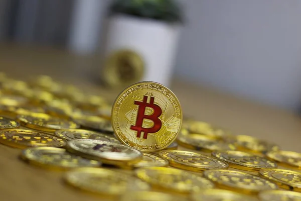 Bitcoin mince kryptoměn — Stock fotografie