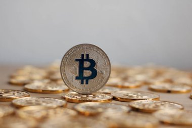 Bitcoin altın madeni para kavramı