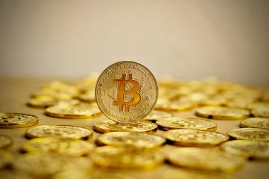 Bitcoin altın madeni para kavramı