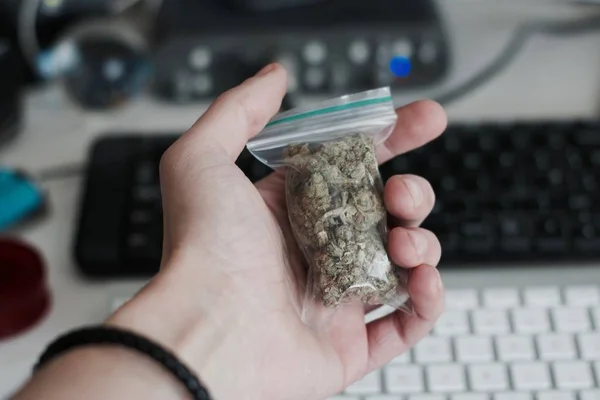 Bolsa con una marihuana en la mano — Foto de Stock