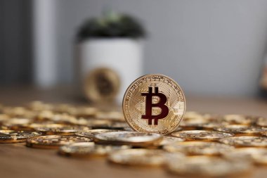 Bitcoin para cryptocurrency