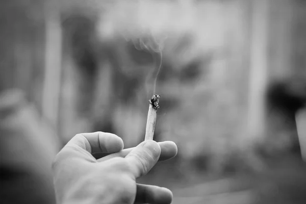 Marihuana joint in de hand — Stockfoto