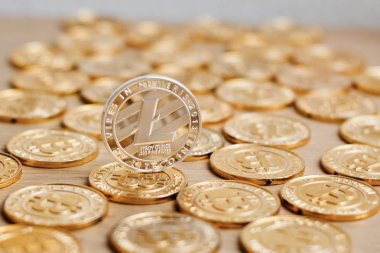 Litecoin altın kavramı