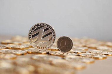 Litecoin altın kavramı
