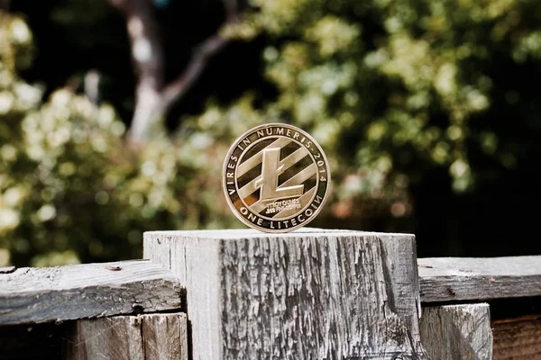 Золота монета «Litecoin» — стокове фото