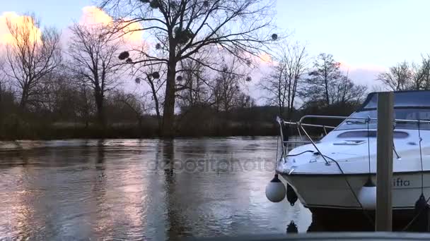 Nehirdeki Tekne — Stok video