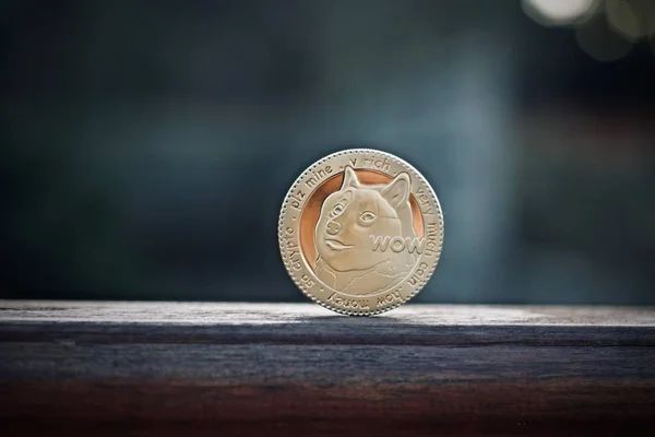 Moneda de oro dogecoin — Foto de Stock