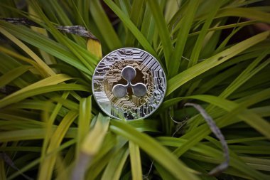 Gümüş dalgalanma sikke