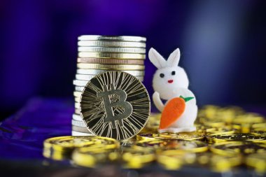 Bitcoin para. Cryptocurrency kavramı.