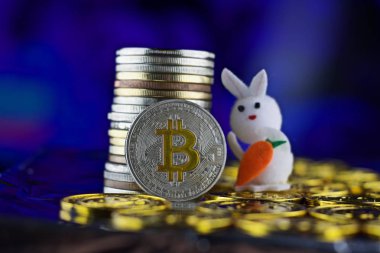 Bitcoin para. Cryptocurrency kavramı.
